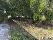 Armazm - Ronfe, Guimares, Braga - Miniatura: 5/7