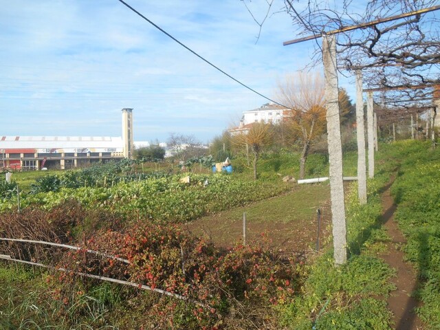 Terreno R�stico - Mafamude, Vila Nova de Gaia, Porto - Imagem grande