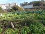Terreno R�stico - Mafamude, Vila Nova de Gaia, Porto - Miniatura: 1/9
