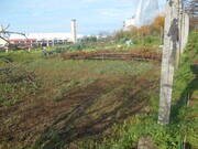 Terreno R�stico - Mafamude, Vila Nova de Gaia, Porto - Miniatura: 3/9