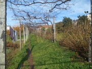 Terreno R�stico - Mafamude, Vila Nova de Gaia, Porto - Miniatura: 4/9