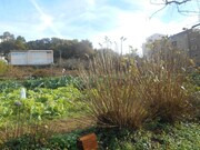Terreno R�stico - Mafamude, Vila Nova de Gaia, Porto - Miniatura: 6/9