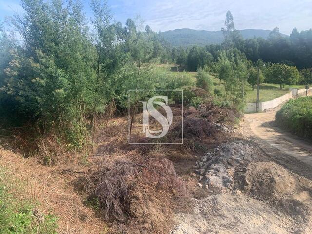 Terreno R�stico - Estor�os, Ponte de Lima, Viana do Castelo - Imagem grande