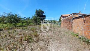 Terreno R�stico - Fragoso, Barcelos, Braga - Miniatura: 7/29