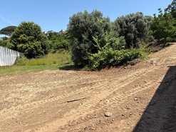 Terreno R�stico - Arca, Ponte de Lima, Viana do Castelo - Miniatura: 9/19