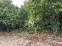 Terreno R�stico - Venade, Caminha, Viana do Castelo - Miniatura: 5/10