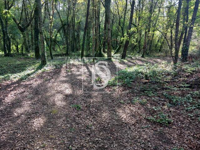Terreno R�stico - Antas, Esposende, Braga - Imagem grande