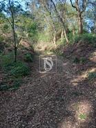 Terreno R�stico - Antas, Esposende, Braga - Miniatura: 4/8
