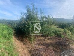 Terreno R�stico - Estor�os, Ponte de Lima, Viana do Castelo - Miniatura: 6/13
