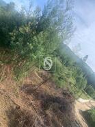 Terreno R�stico - Estor�os, Ponte de Lima, Viana do Castelo - Miniatura: 9/13