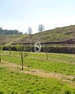 Terreno R�stico - ASSOCIA��O DE FREGUESIAS DO VALE DO NEIVA, Ponte de Lima, Viana do Castelo - Miniatura: 5/12
