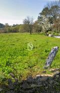 Terreno R�stico - Barroselas, Viana do Castelo, Viana do Castelo - Miniatura: 9/10