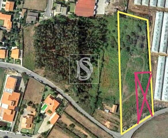 Terreno R�stico - Muj�es, Viana do Castelo, Viana do Castelo - Imagem grande