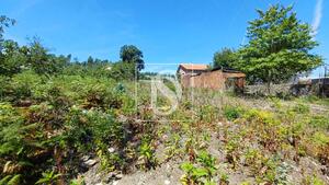 Terreno R�stico - Fragoso, Barcelos, Braga - Miniatura: 28/29