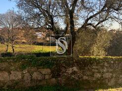 Terreno R�stico - Vila de Punhe, Viana do Castelo, Viana do Castelo - Miniatura: 1/26