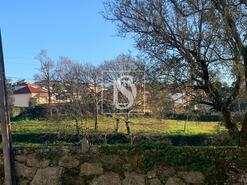 Terreno R�stico - Vila de Punhe, Viana do Castelo, Viana do Castelo - Miniatura: 5/26