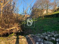 Terreno R�stico - Vila de Punhe, Viana do Castelo, Viana do Castelo - Miniatura: 9/26