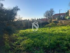 Terreno R�stico - Vila de Punhe, Viana do Castelo, Viana do Castelo - Miniatura: 22/26