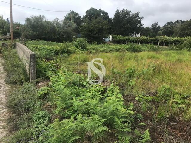 Terreno R�stico - Riba de �ncora, Caminha, Viana do Castelo - Imagem grande