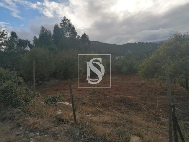 Terreno R�stico - Gondar�m, Vila Nova de Cerveira, Viana do Castelo - Imagem grande