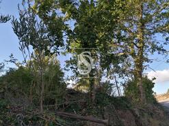 Terreno R�stico - Gondar�m, Vila Nova de Cerveira, Viana do Castelo - Miniatura: 5/20