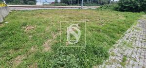 Terreno R�stico - Darque, Viana do Castelo, Viana do Castelo - Miniatura: 3/3