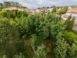 Terreno R�stico - Vila Nova de Cerveira, Vila Nova de Cerveira, Viana do Castelo - Miniatura: 11/24