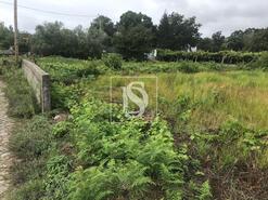 Terreno R�stico - Riba de �ncora, Caminha, Viana do Castelo