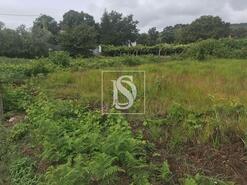 Terreno R�stico - Riba de �ncora, Caminha, Viana do Castelo - Miniatura: 3/9