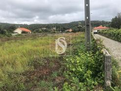 Terreno R�stico - Riba de �ncora, Caminha, Viana do Castelo - Miniatura: 4/9