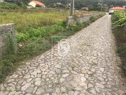 Terreno R�stico - Riba de �ncora, Caminha, Viana do Castelo - Miniatura: 5/9