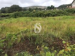 Terreno R�stico - Riba de �ncora, Caminha, Viana do Castelo - Miniatura: 6/9