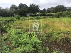 Terreno R�stico - Riba de �ncora, Caminha, Viana do Castelo - Miniatura: 7/9