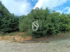 Terreno R�stico - Venade, Caminha, Viana do Castelo - Miniatura: 1/10