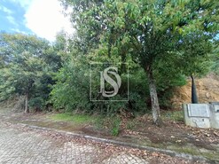 Terreno R�stico - Venade, Caminha, Viana do Castelo - Miniatura: 8/10