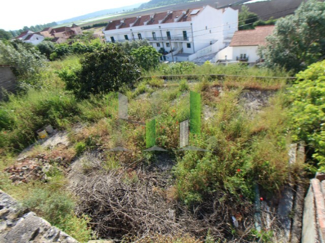Terreno R�stico - Montemor-o-Velho, Montemor-o-Velho, Coimbra - Imagem grande