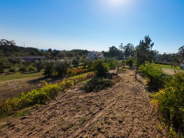 Terreno Rústico - Carapinheira, Montemor-o-Velho, Coimbra - Imagem grande