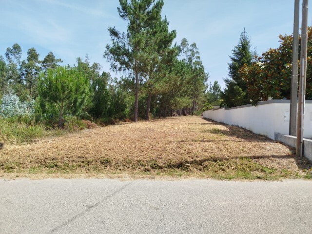 Outros - Arazede, Montemor-o-Velho, Coimbra - Imagem grande