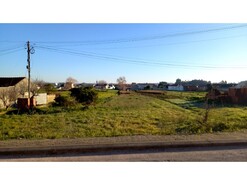 Terreno Rstico - Vagos, Vagos, Aveiro