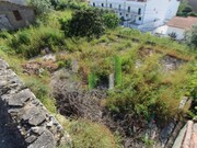 Terreno R�stico - Montemor-o-Velho, Montemor-o-Velho, Coimbra - Miniatura: 2/7