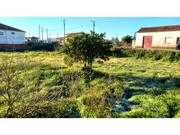 Terreno Rstico - Vagos, Vagos, Aveiro - Miniatura: 6/9