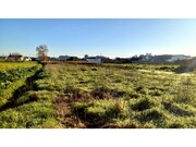 Terreno Rstico - Vagos, Vagos, Aveiro - Miniatura: 9/9