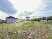 Outros - REQUEIXO, NOSSA SENHORA DE F�TIMA E NARIZ, Aveiro, Aveiro - Miniatura: 3/9