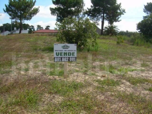 Terreno R�stico - Alhadas, Figueira da Foz, Coimbra - Imagem grande