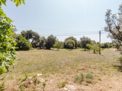 Terreno Rstico - Portunhos, Cantanhede, Coimbra