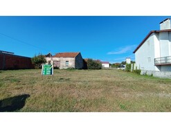 Terreno Rstico - Ouca, Vagos, Aveiro
