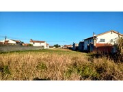 Terreno Rústico - Calvão, Vagos, Aveiro - Miniatura: 6/9