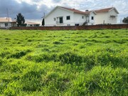 Terreno Rstico - REQUEIXO, NOSSA SENHORA DE FTIMA E NARIZ, Aveiro, Aveiro - Miniatura: 6/7