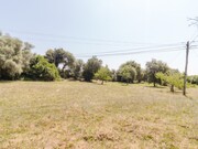 Terreno Rstico - Portunhos, Cantanhede, Coimbra - Miniatura: 5/9