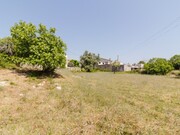 Terreno Rstico - Portunhos, Cantanhede, Coimbra - Miniatura: 6/9